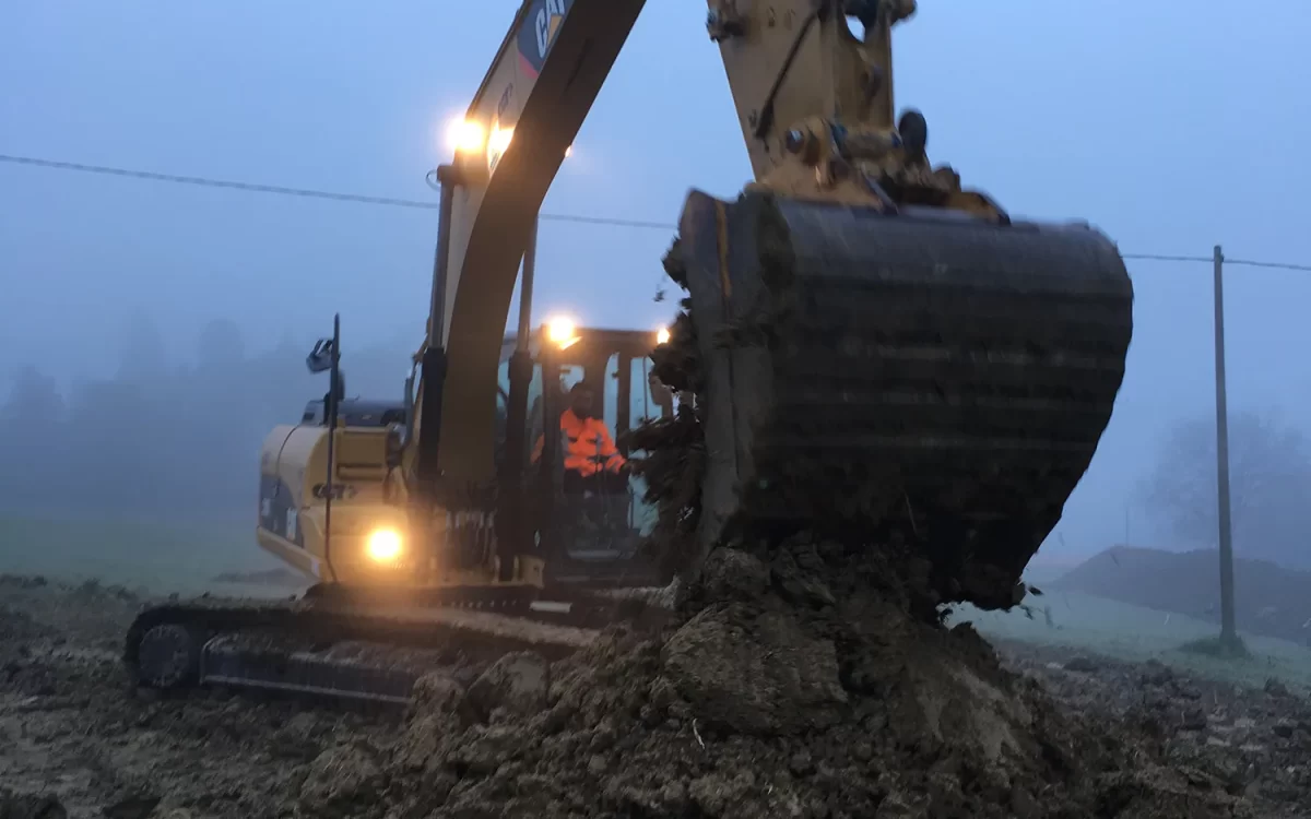 movimento terra camerino